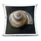 Stupell Industries Swirled Seashell Sea Treasure Decorative Printed Throw Pillow, design by Mary Sparrow, 18 x 7 x 18